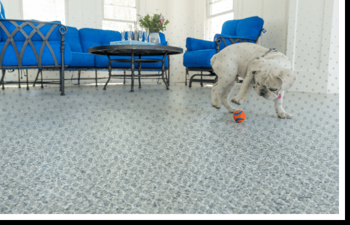 Pet-friendly Polyurea floor coating in residential living space | Scratch and stain-resistant flooring for dogs